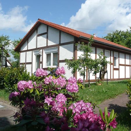 Ferienhaus Kogge Im Feriendorf Alt Bachenbrock Екстер'єр фото